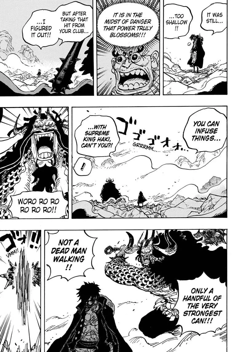 One Piece - 1010 page 12