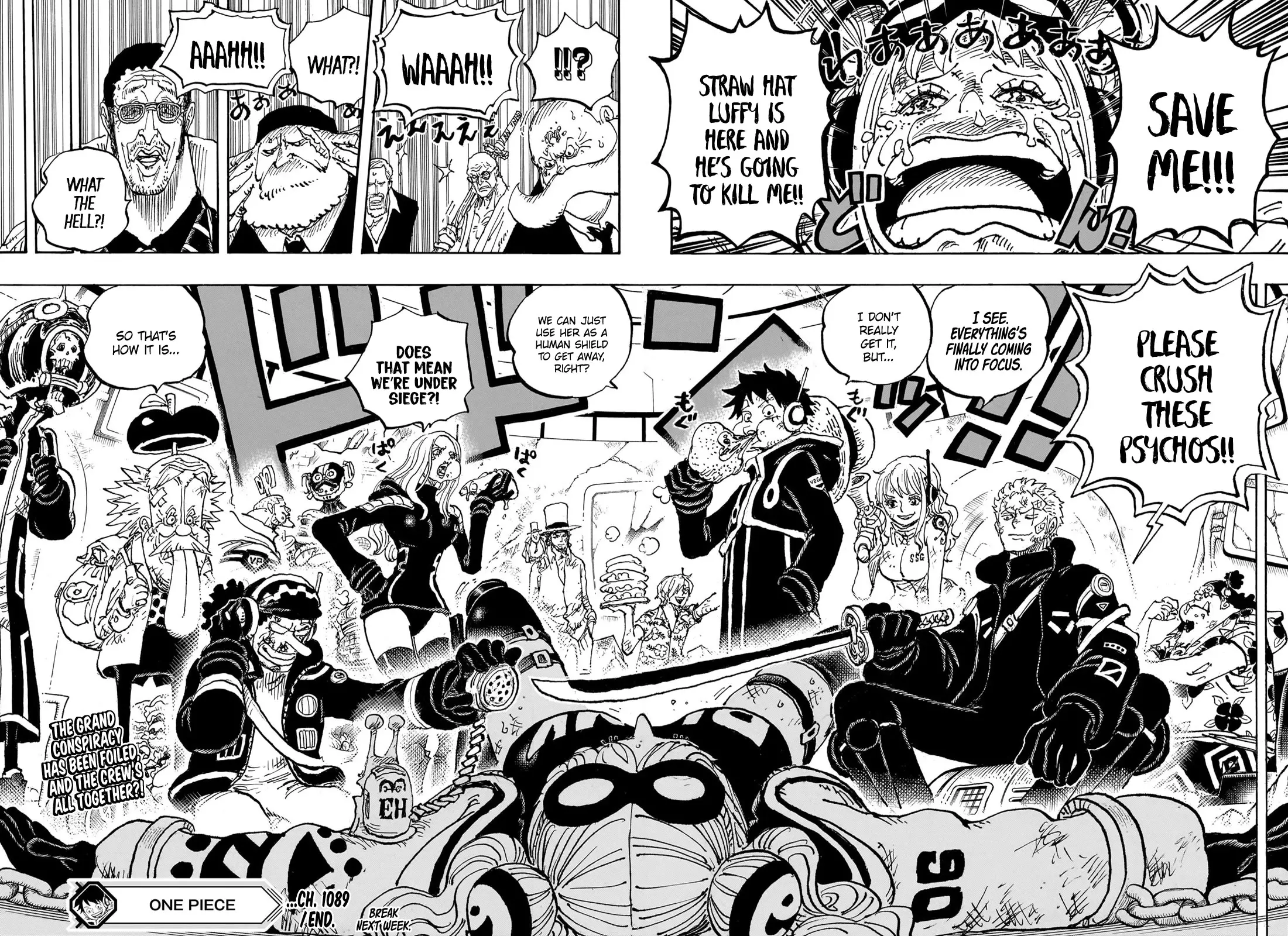 One Piece - 1089 page 17-d2d7964f