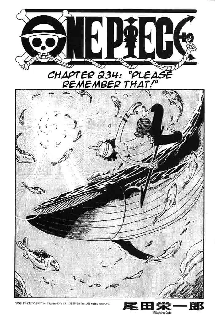 One Piece - 234 page p_00001