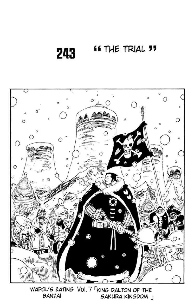 One Piece - 243 page p_00001
