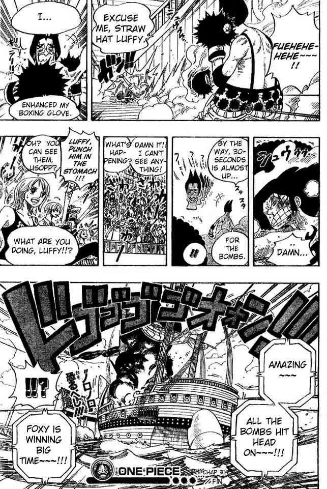 One Piece - 314 page p_00019