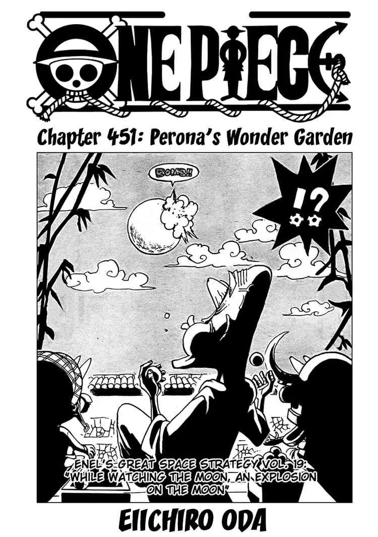 One Piece - 451 page p_00001