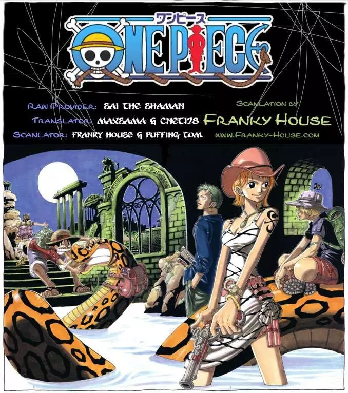 One Piece - 499 page p_00019