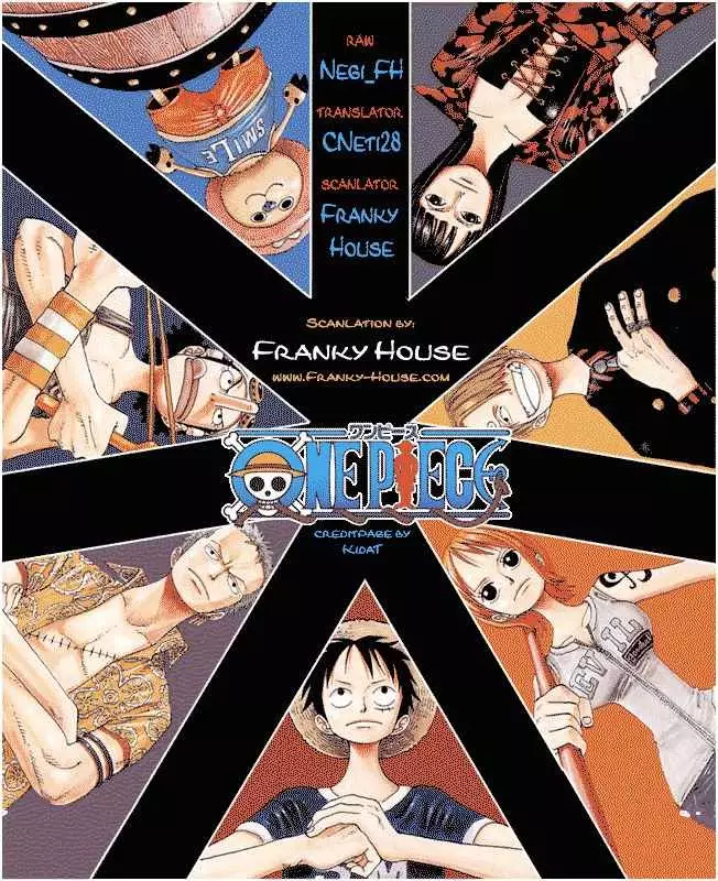 One Piece - 513 page p_00019