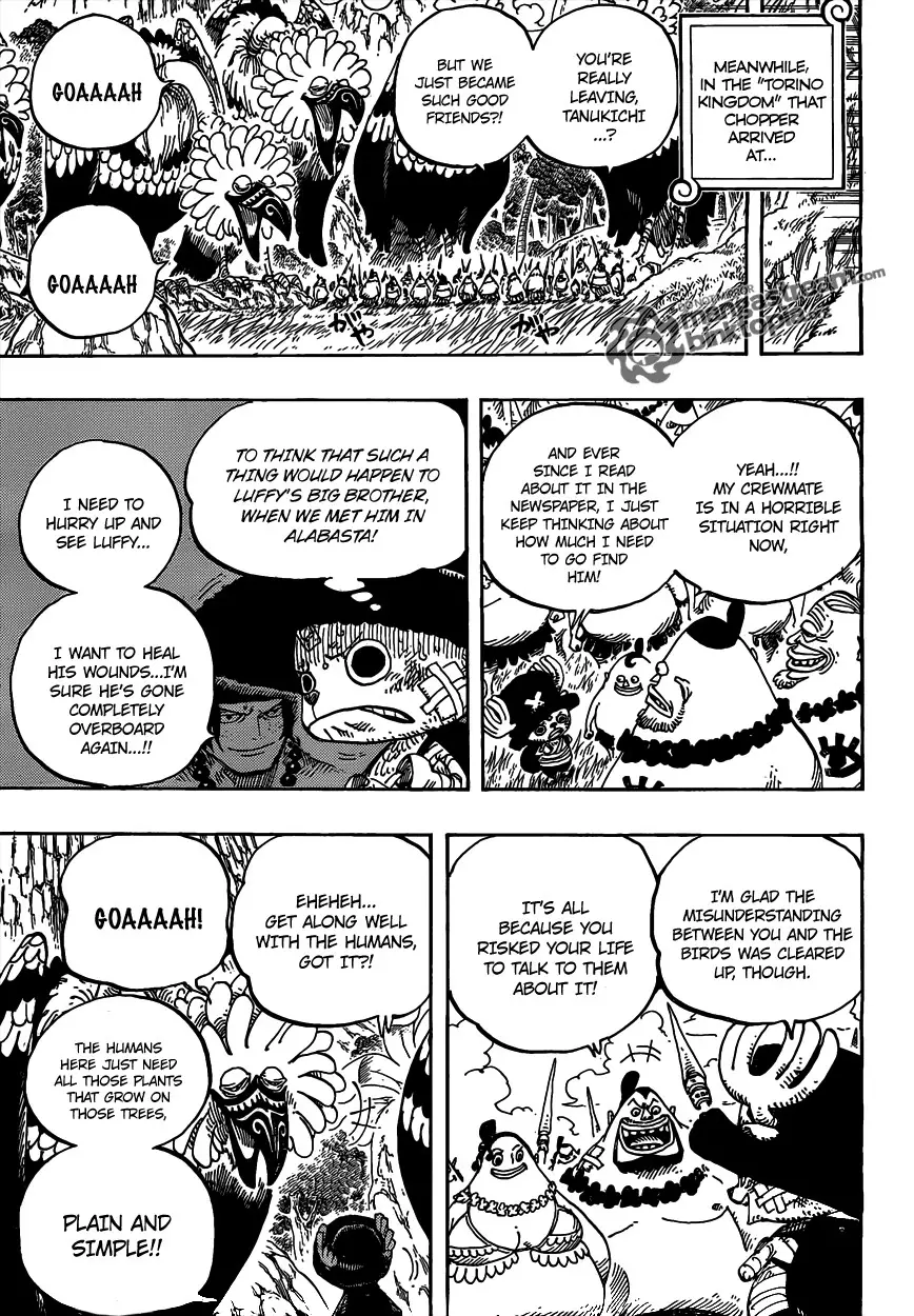 One Piece - 591 page p_00017