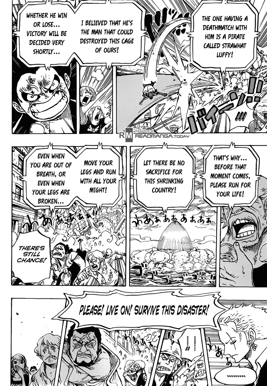 One Piece - 785 page 14