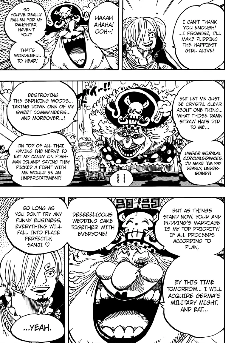 One Piece - 846 page 14