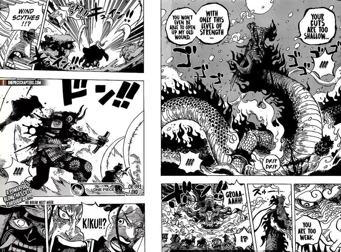 One Piece - 993 page 16