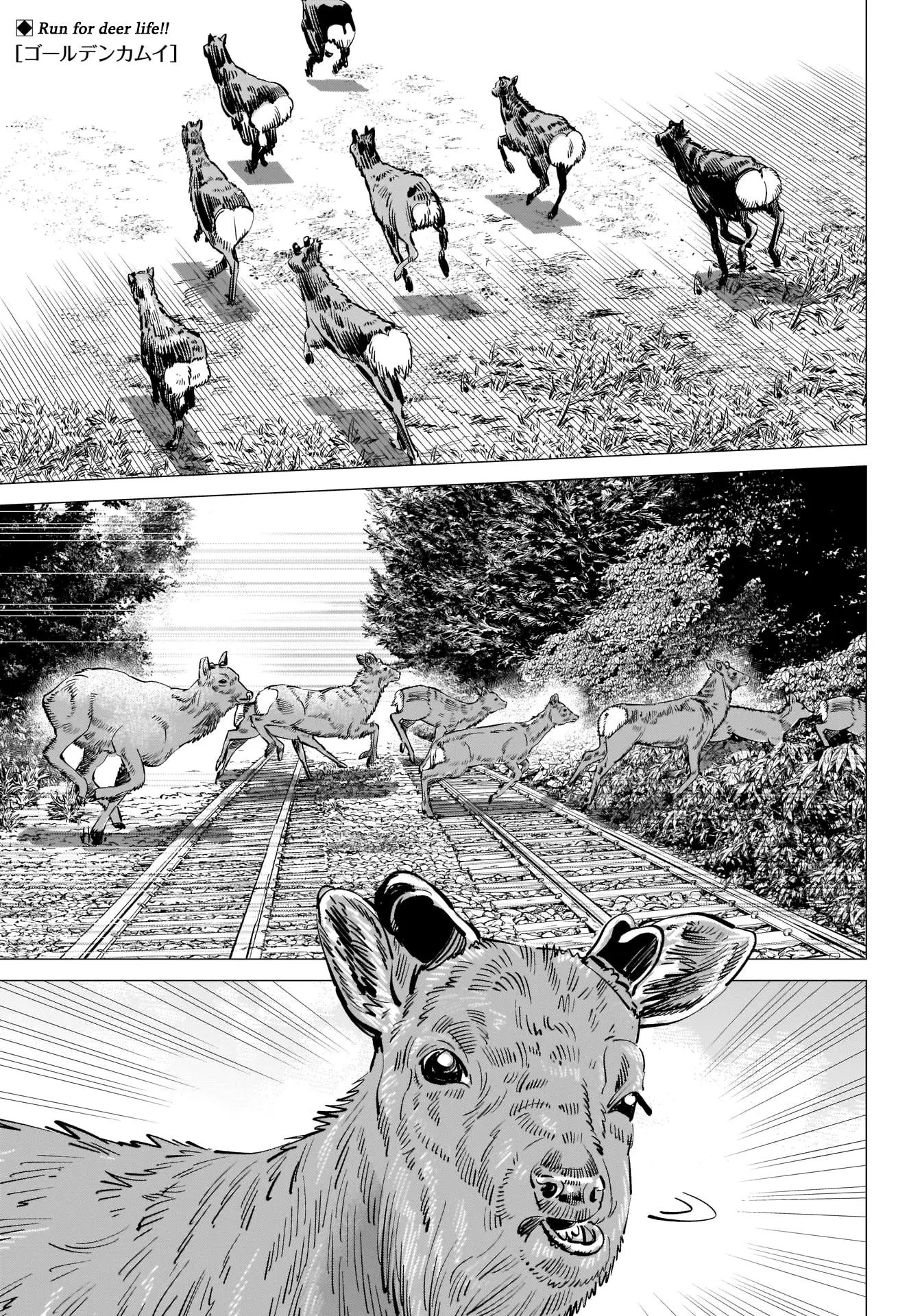 Golden Kamui - 303 page 1-9d7ed7b9