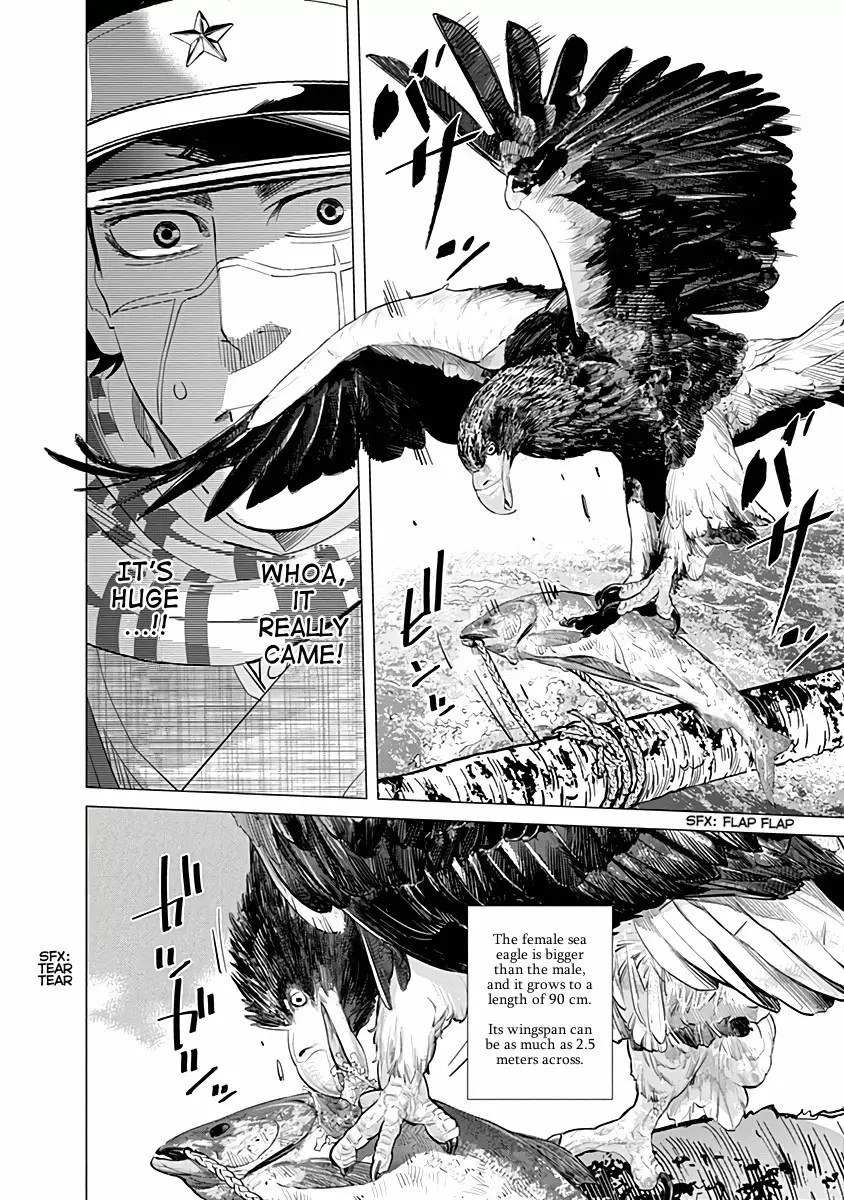 Golden Kamui - 32 page p_00009