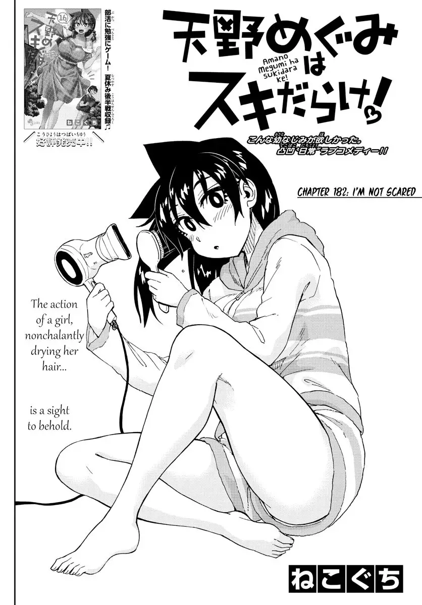 Amano Megumi wa Suki Darake! - 182 page 2