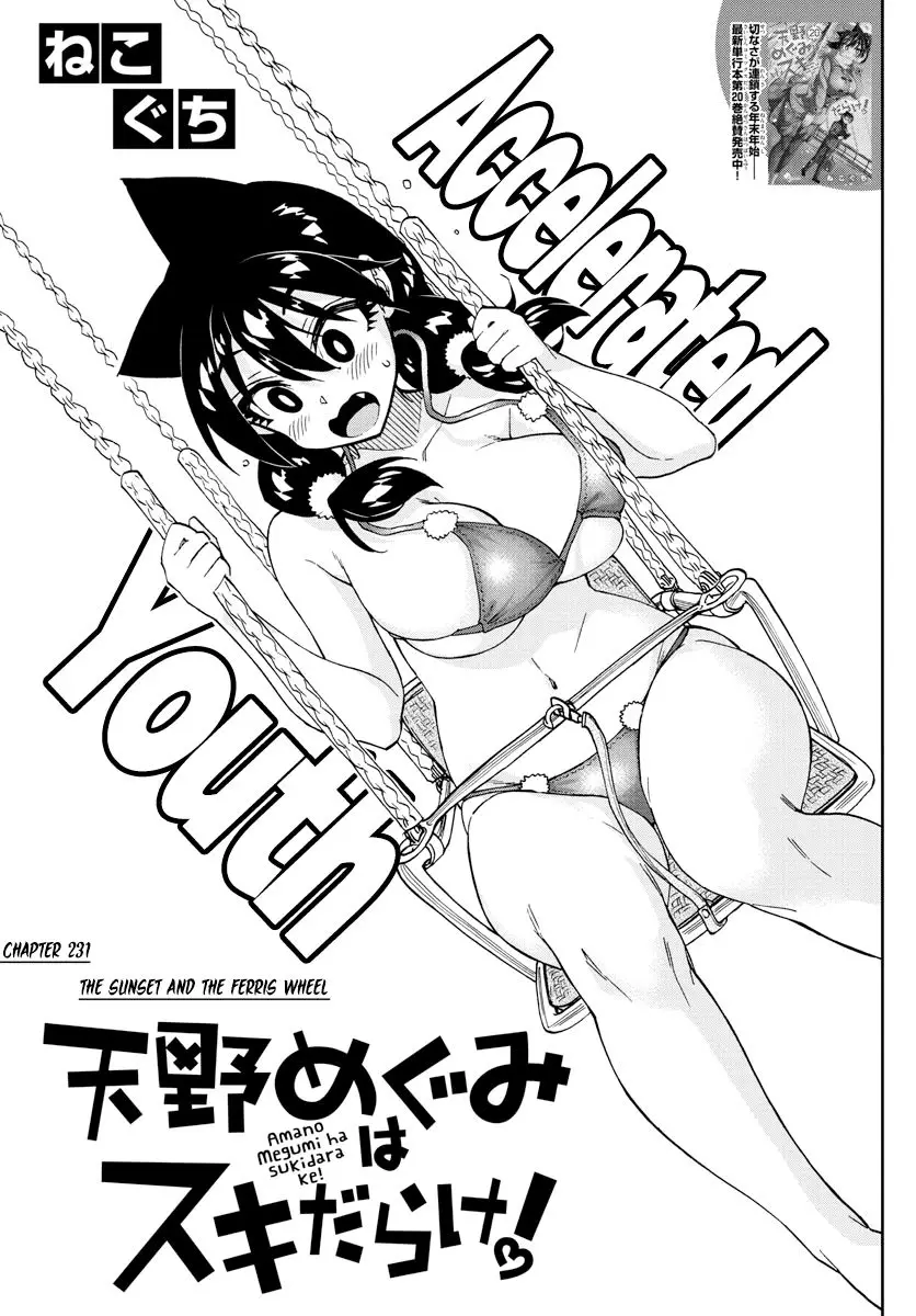 Amano Megumi wa Suki Darake! - 231 page 3