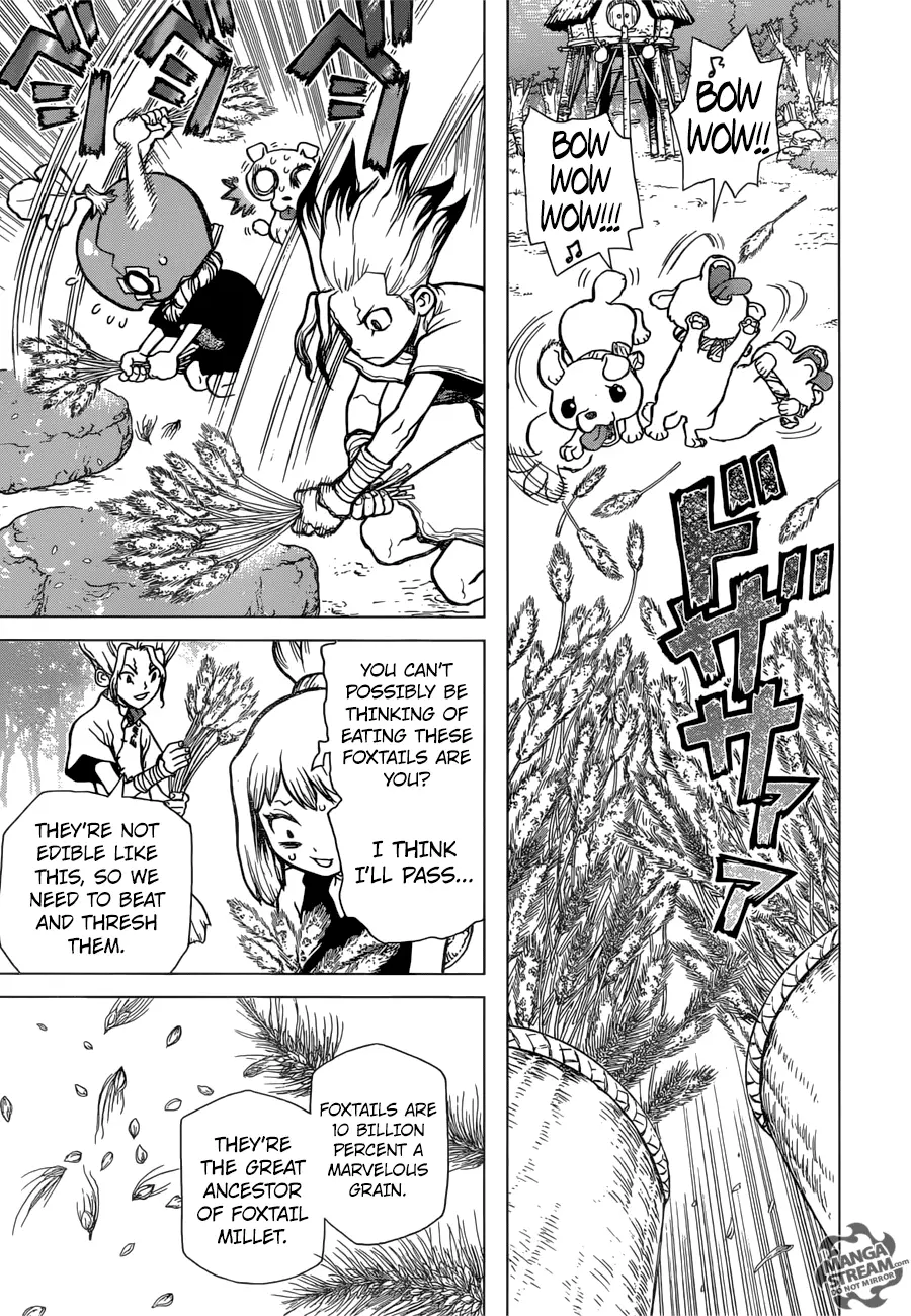 Dr. Stone - 22 page 12