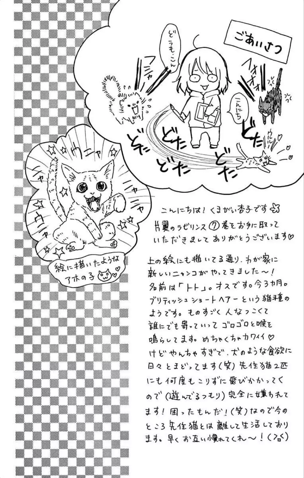 Henyoku no Labyrinth - 36 page 43