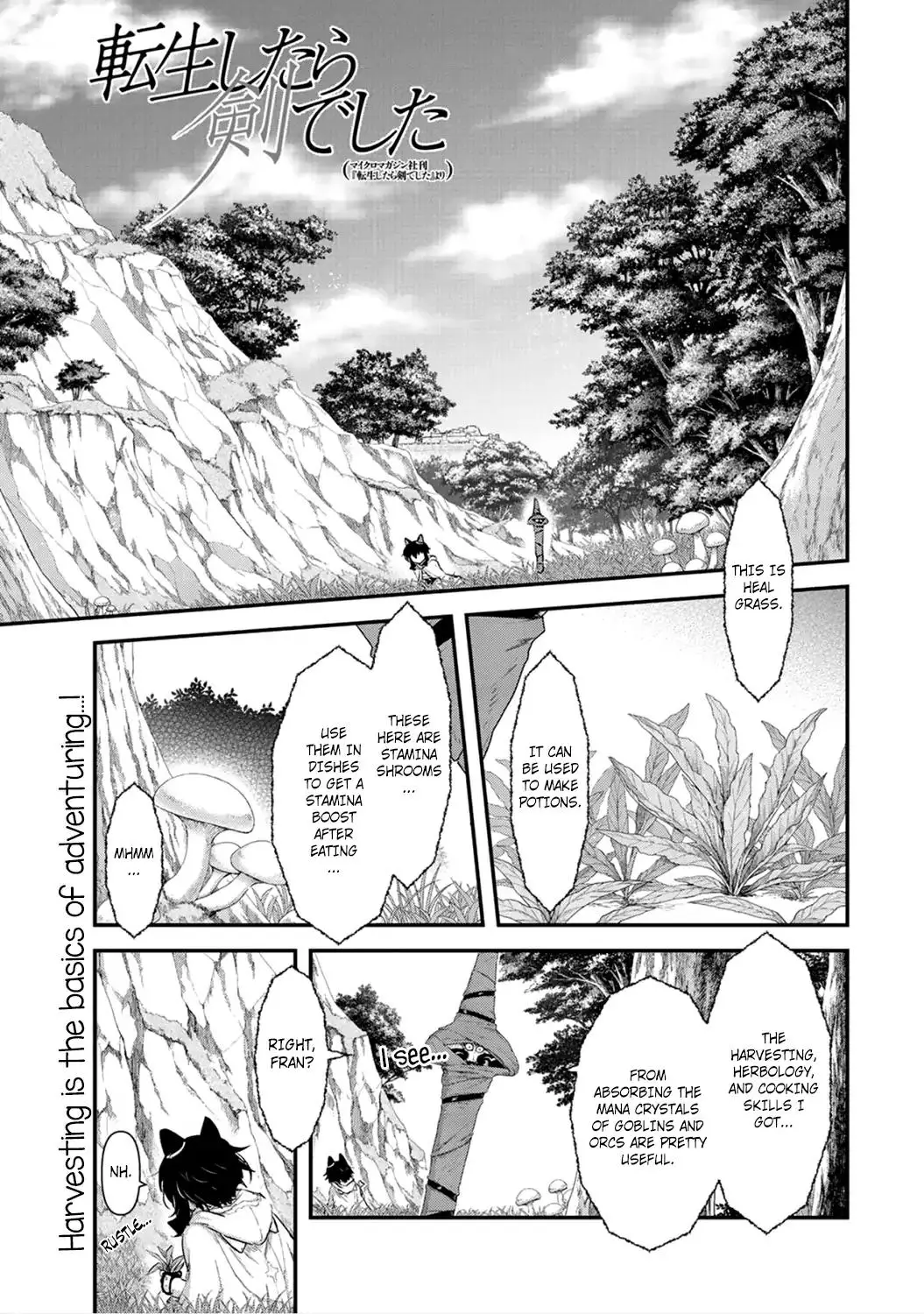 Tensei Shitara Ken deshita - 8 page 0