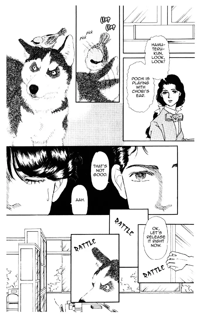 Doubutsu no Oishasan - 13 page 14