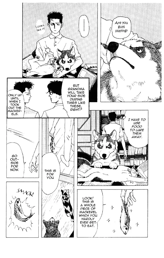 Doubutsu no Oishasan - 14 page 8