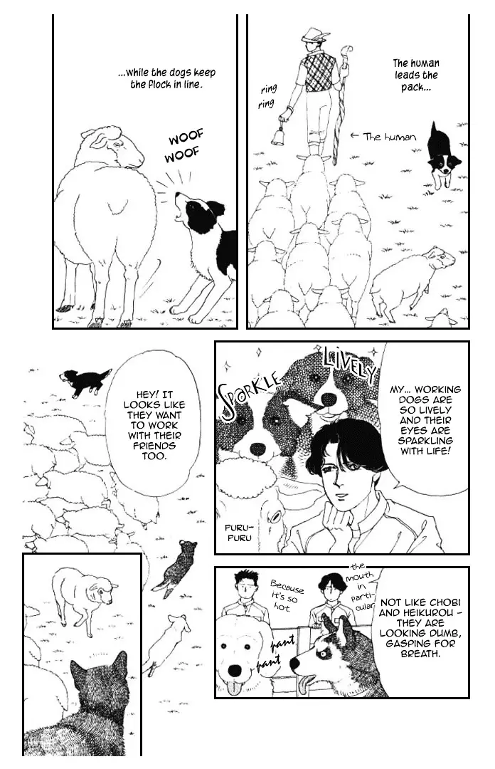 Doubutsu no Oishasan - 15 page 7