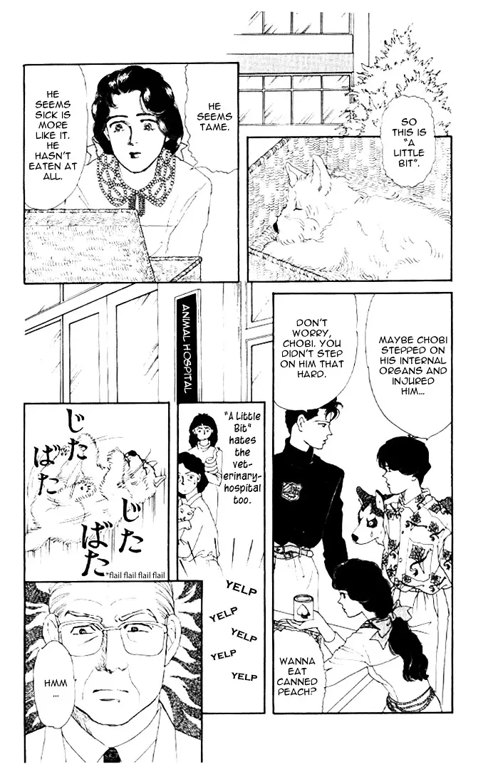 Doubutsu no Oishasan - 20 page 15