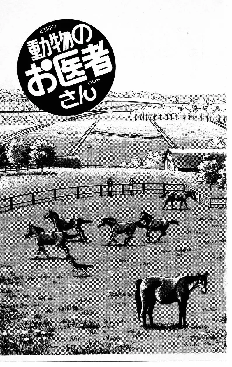 Doubutsu no Oishasan - 37 page 3