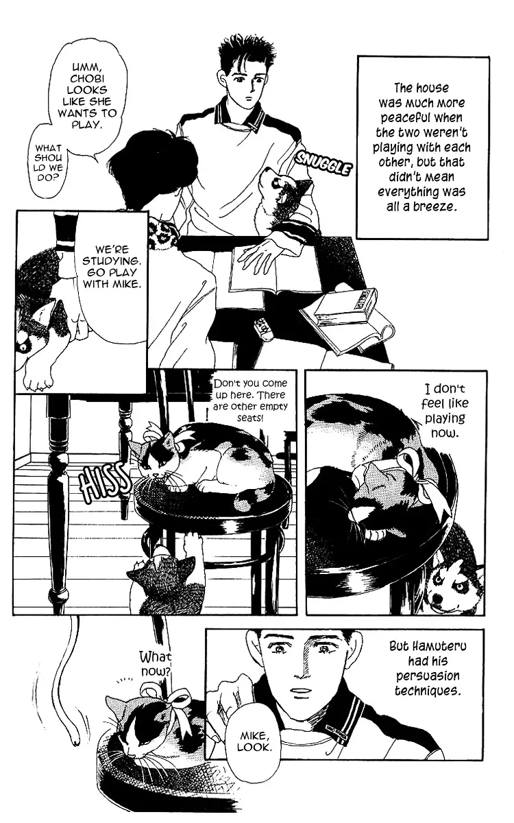 Doubutsu no Oishasan - 42 page 14