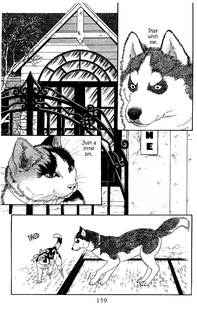 Doubutsu no Oishasan - 42 page 3