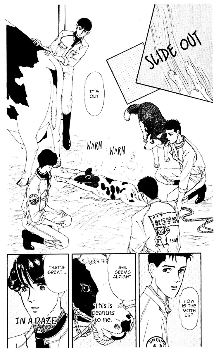 Doubutsu no Oishasan - 46 page 17