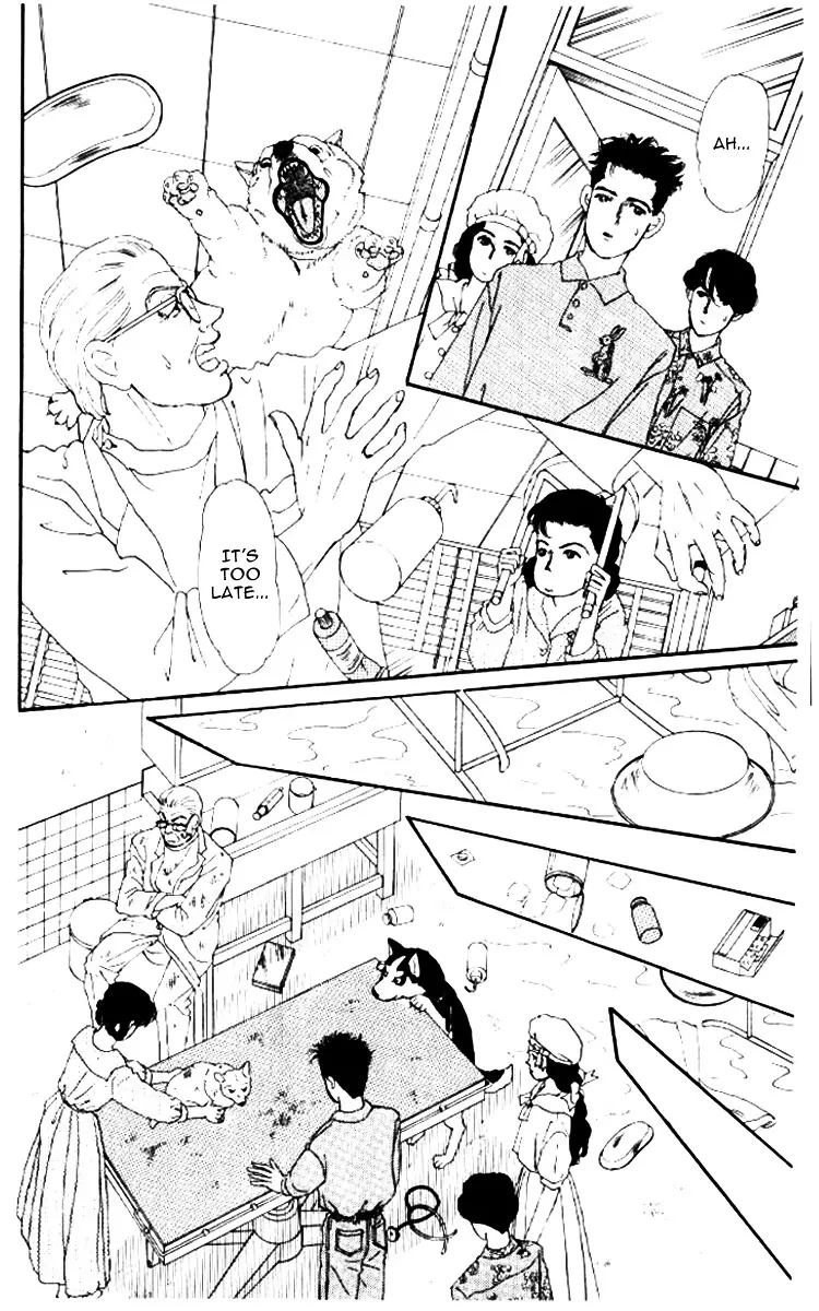 Doubutsu no Oishasan - 52 page 17