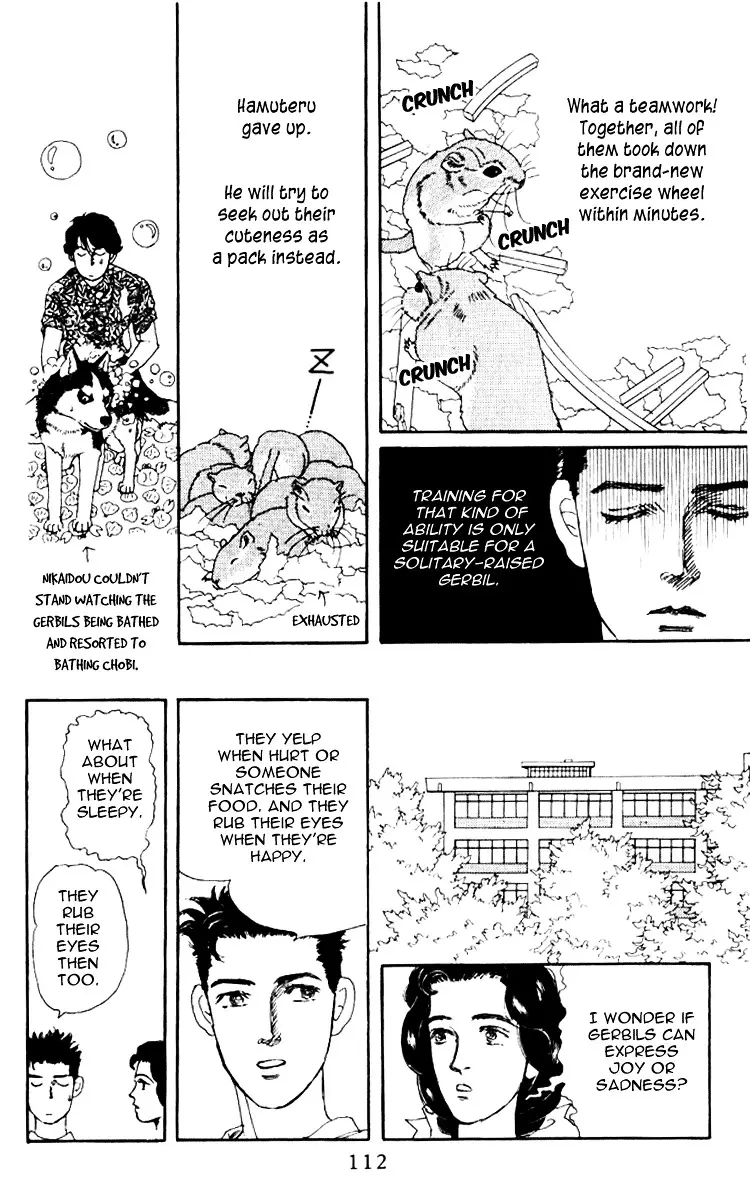 Doubutsu no Oishasan - 58 page 17