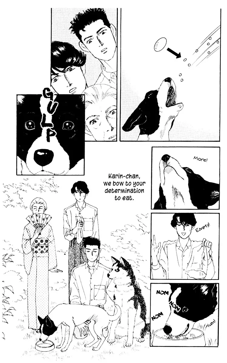 Doubutsu no Oishasan - 62 page 16