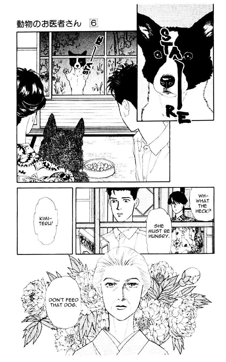 Doubutsu no Oishasan - 62 page 4