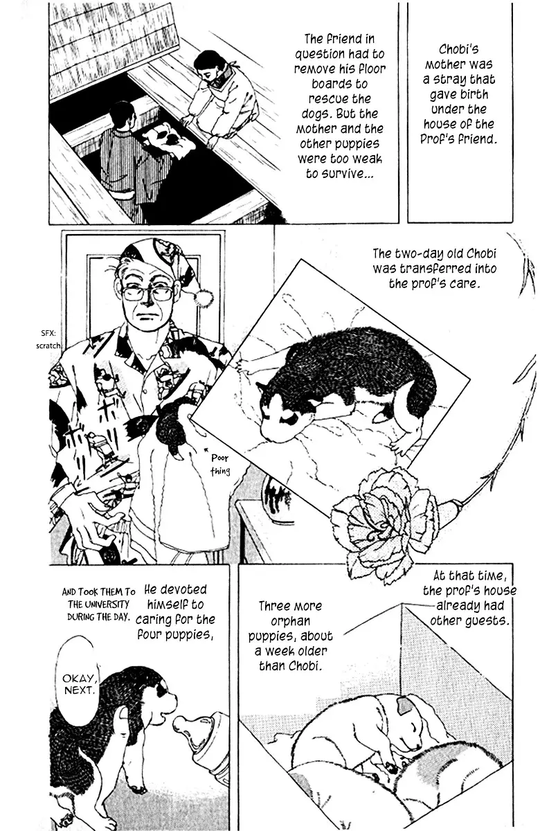 Doubutsu no Oishasan - 72 page 13