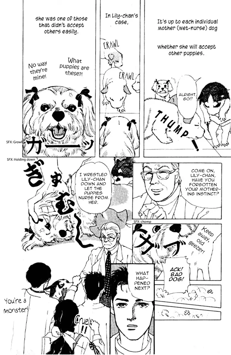 Doubutsu no Oishasan - 72 page 17