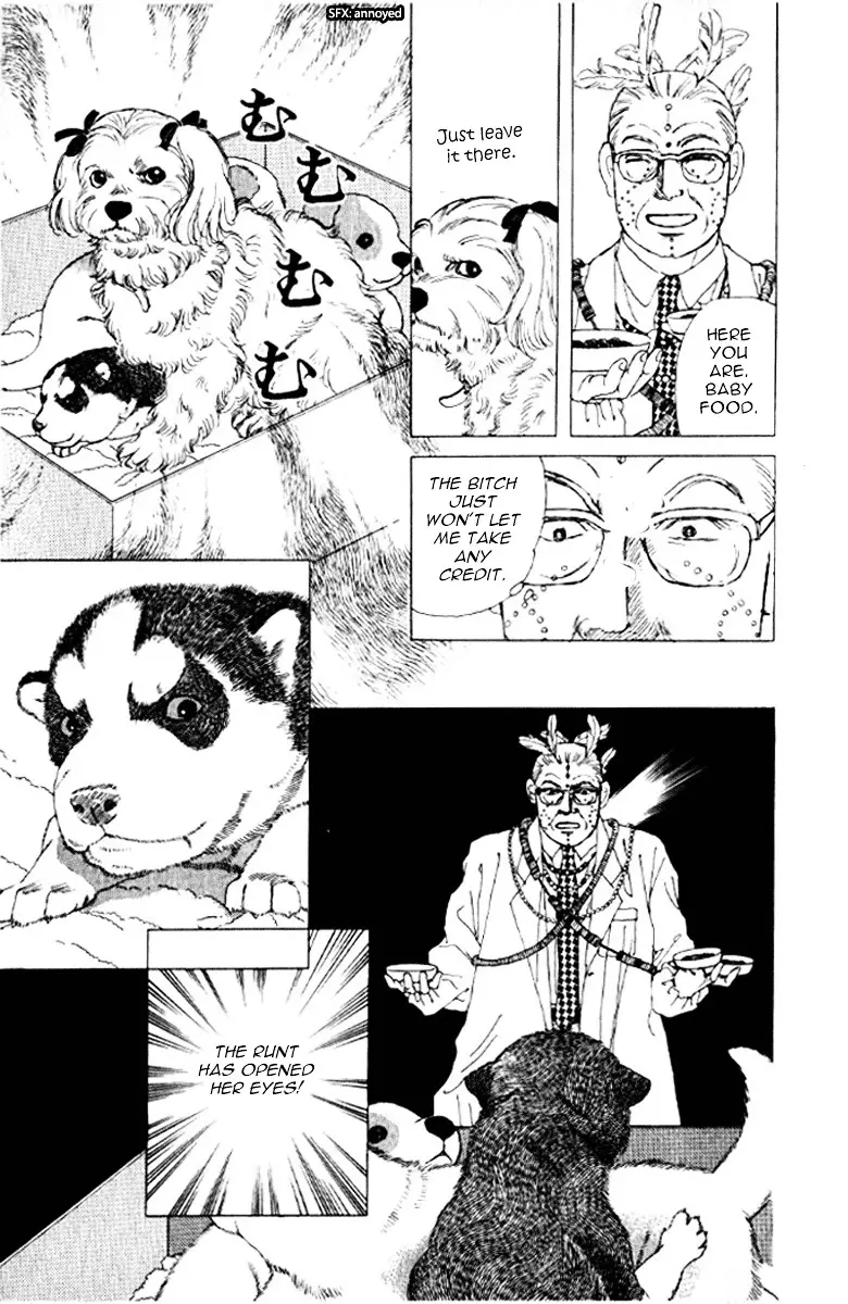 Doubutsu no Oishasan - 72 page 22