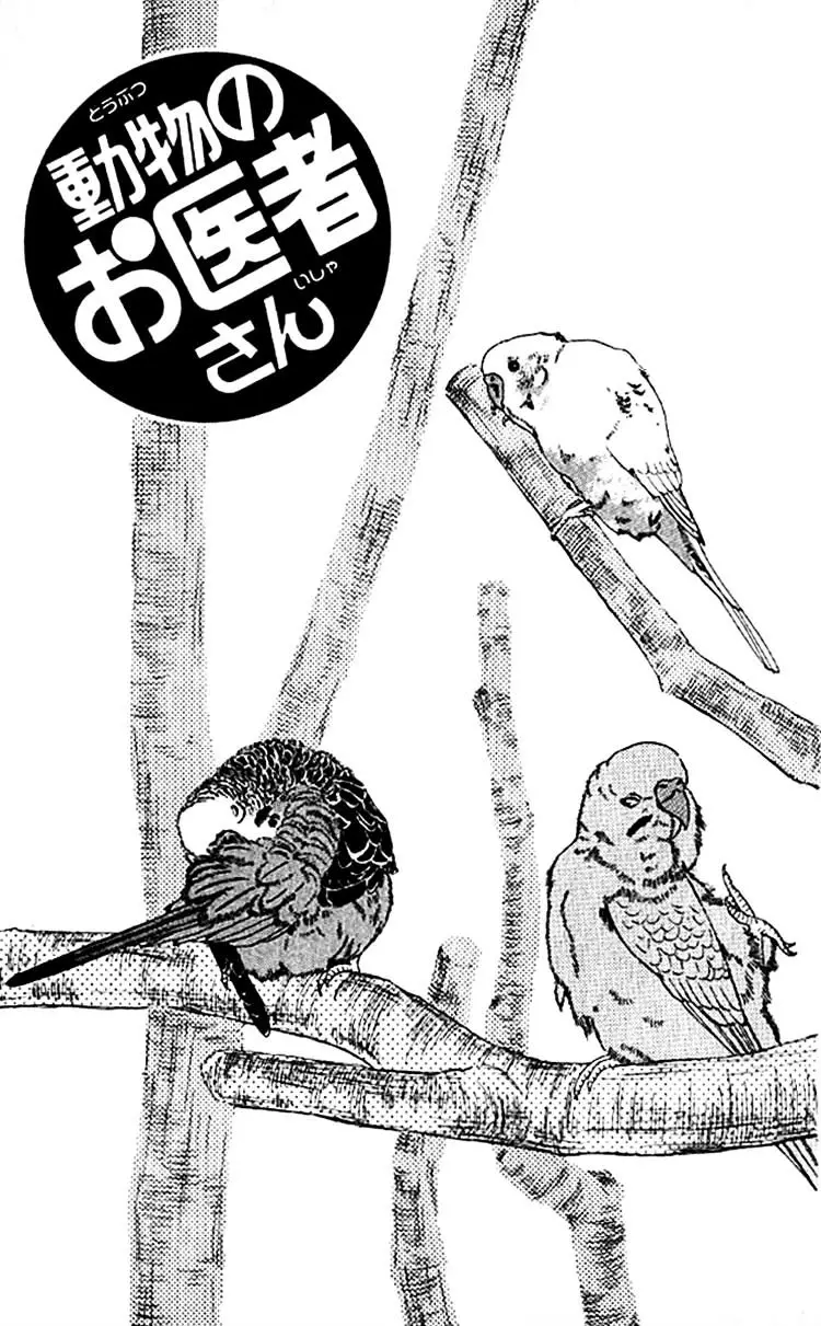 Doubutsu no Oishasan - 78 page 1