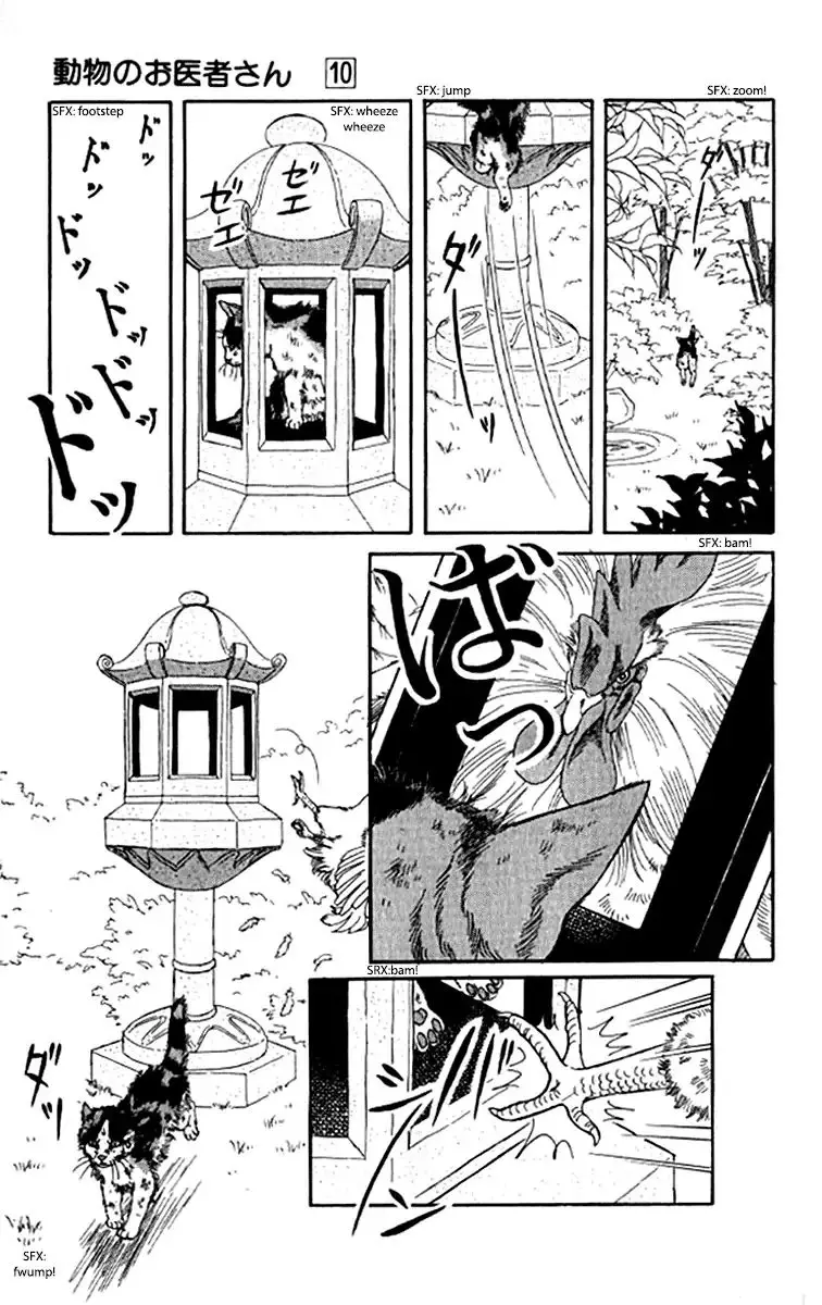 Doubutsu no Oishasan - 92 page 16