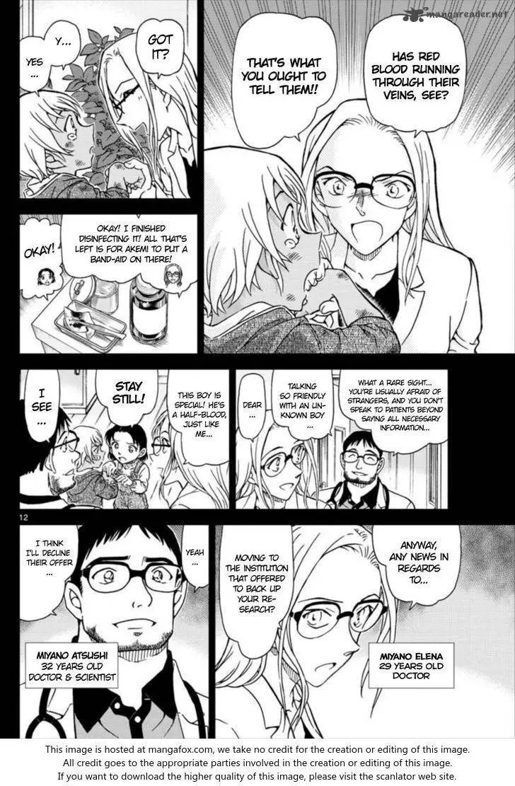 Detective Conan - 1011 page 12