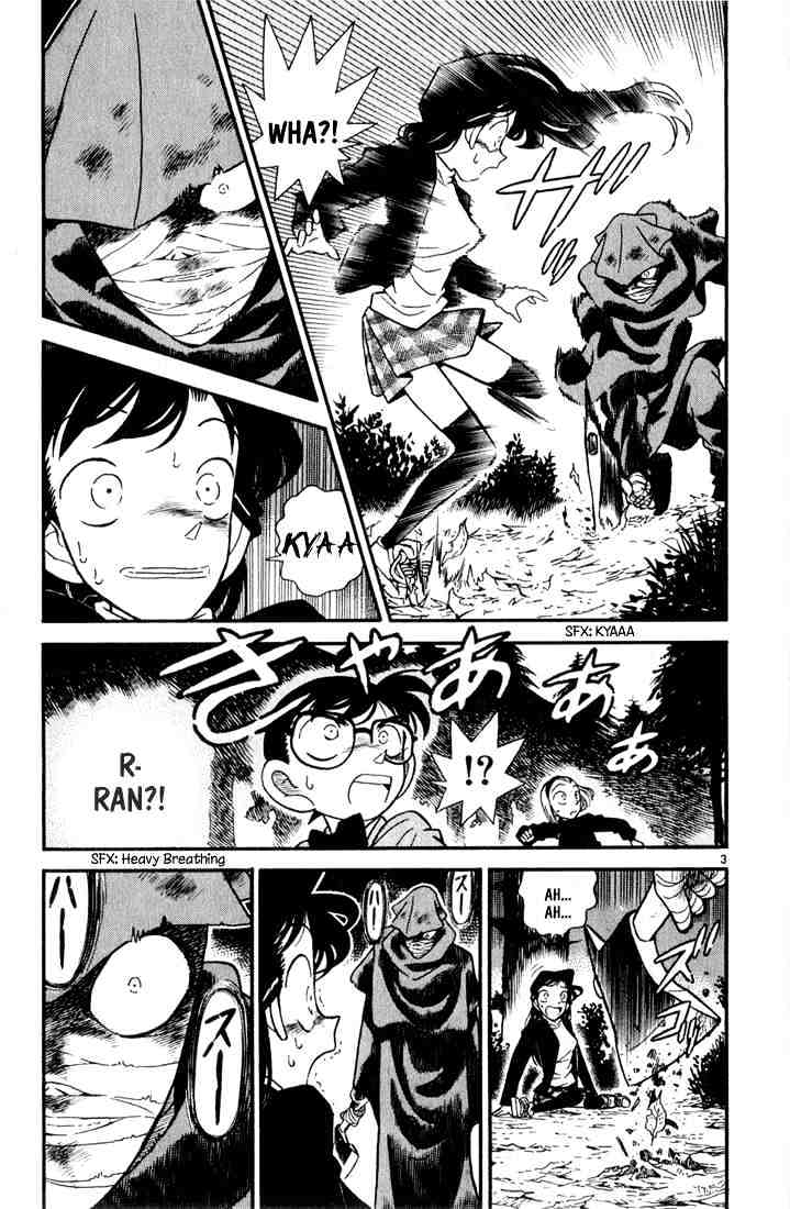 Detective Conan - 41 page 2