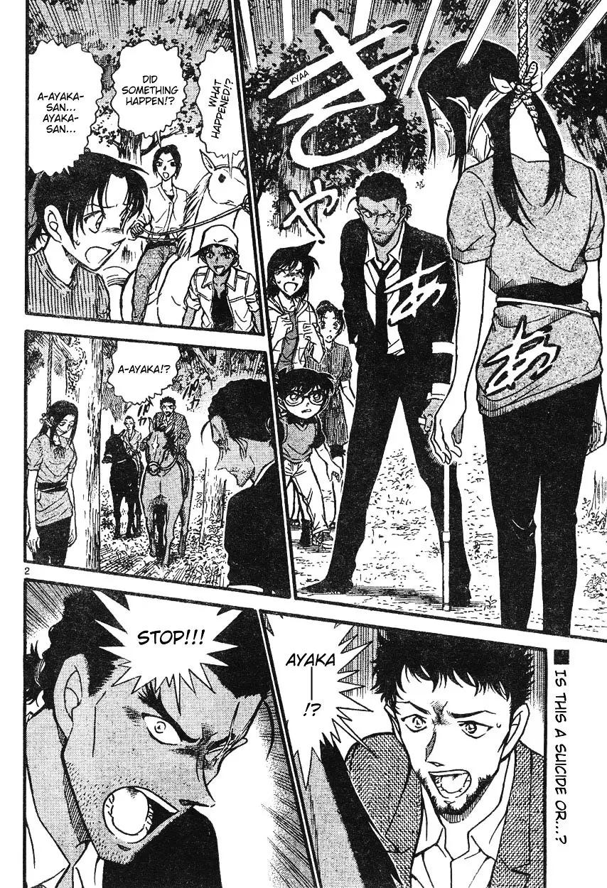 Detective Conan - 615 page 2