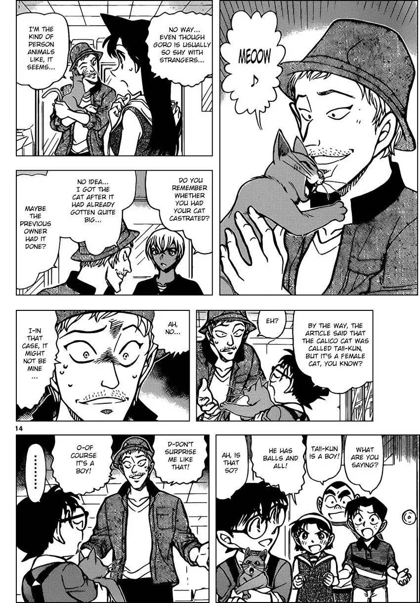 Detective Conan - 865 page 14