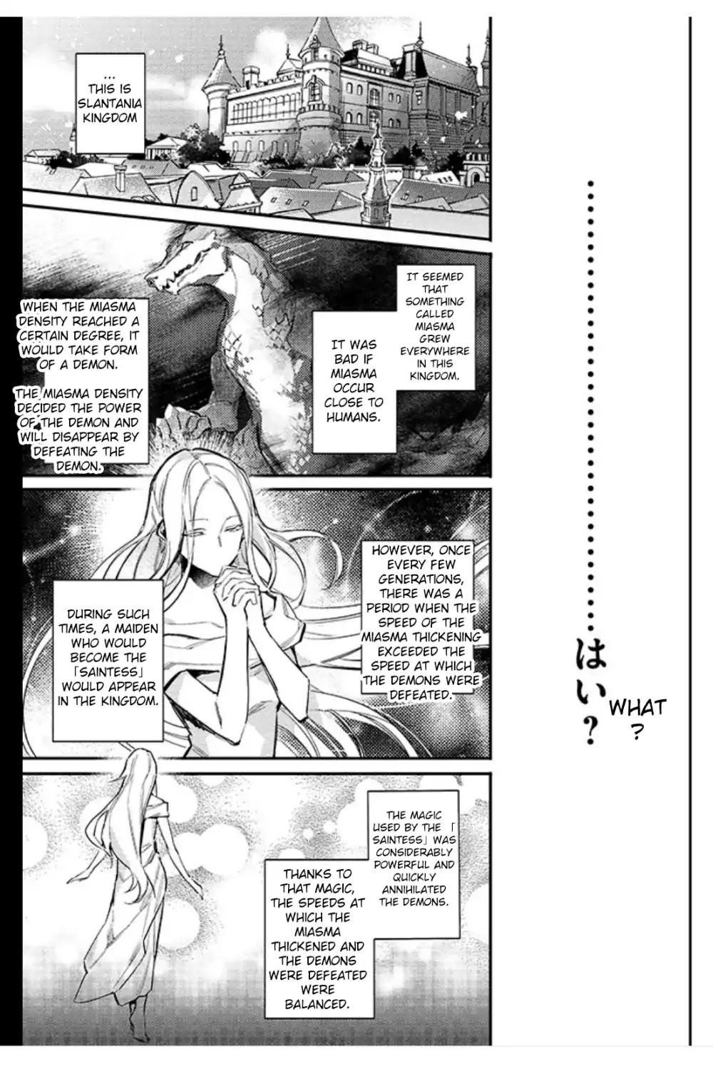 Seijo no Maryoku wa Bannou desu - 1.1 page 7
