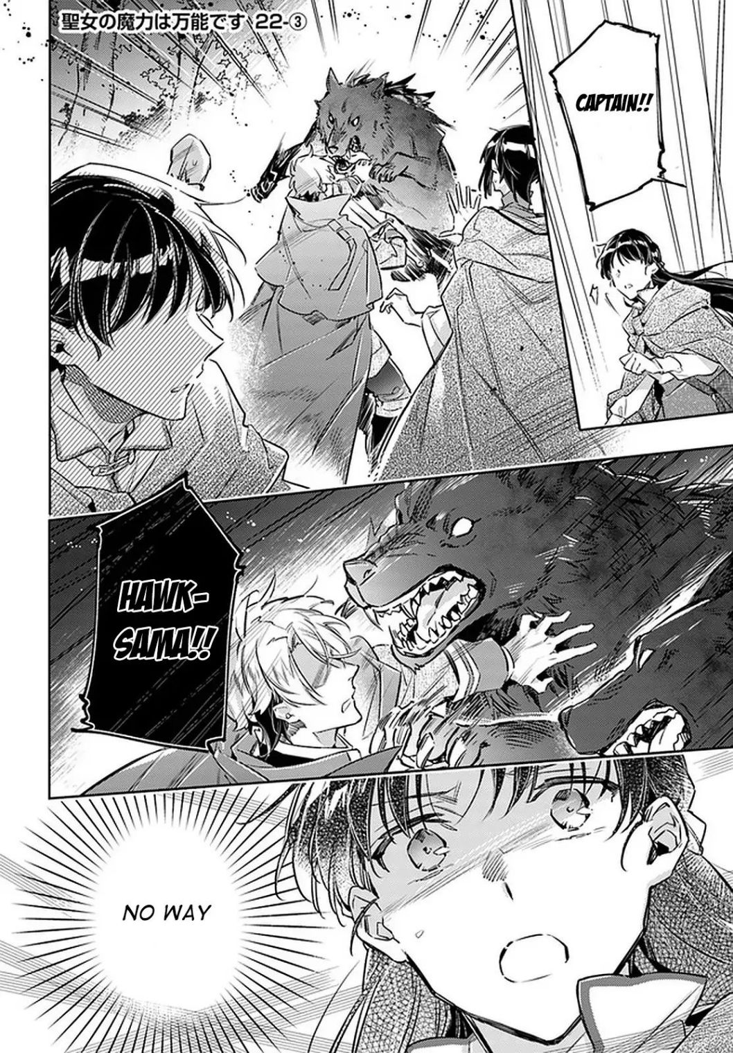 Seijo no Maryoku wa Bannou desu - 22 page 14
