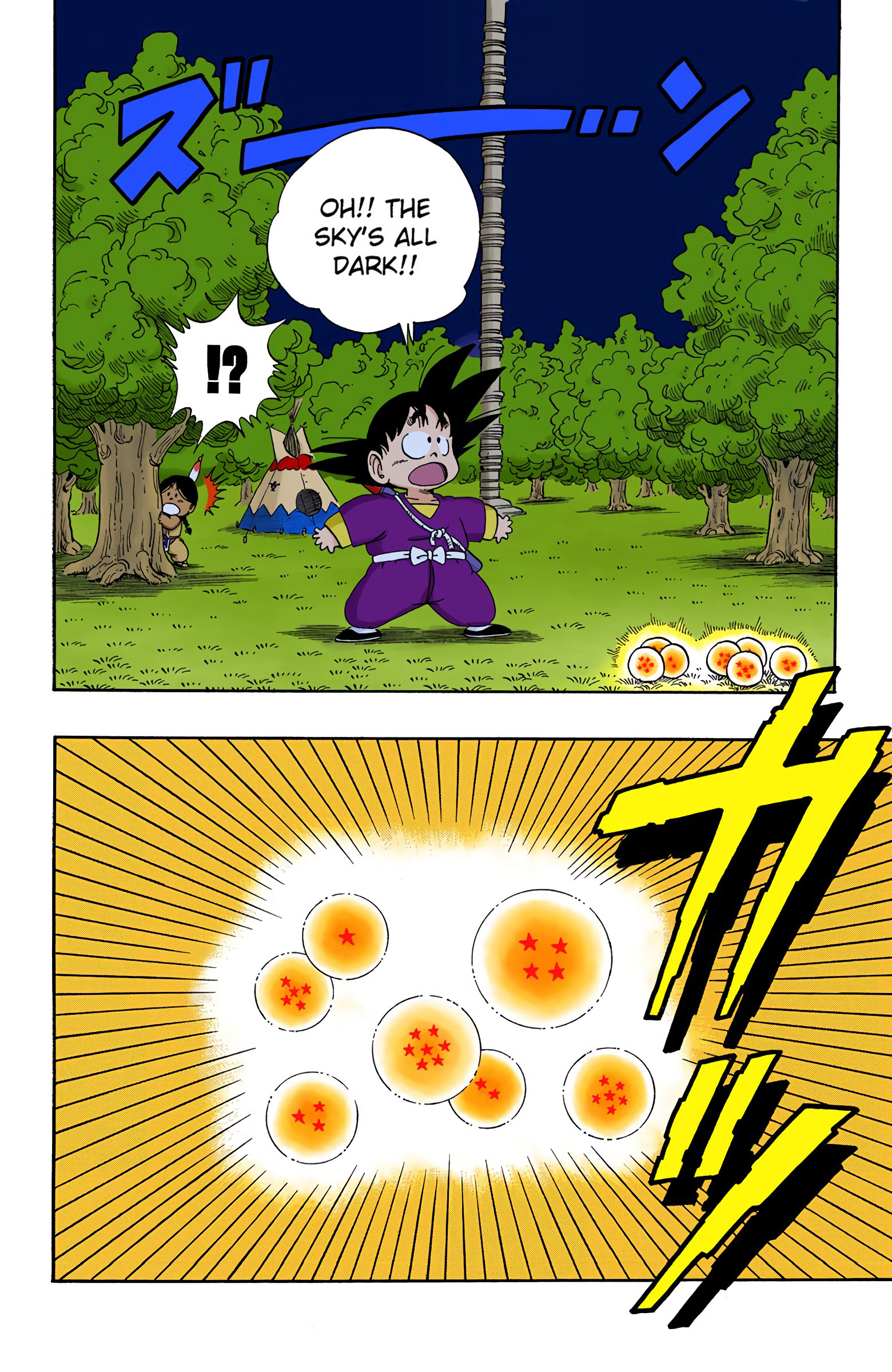 Dragon Ball - Full Color Edition - 111 page 10