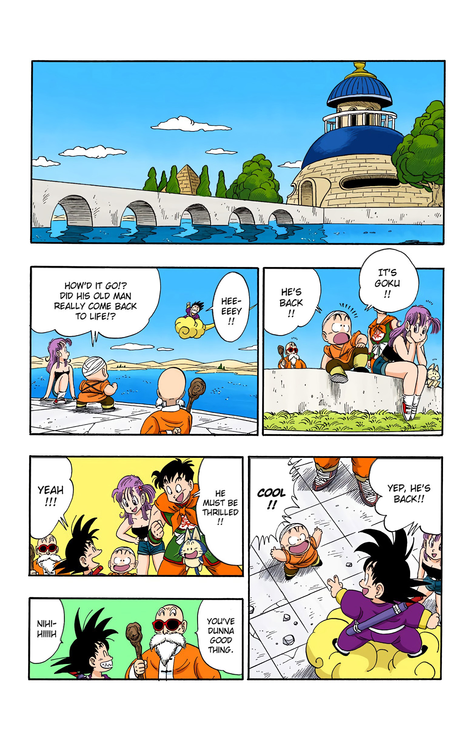 Dragon Ball - Full Color Edition - 112 page 9