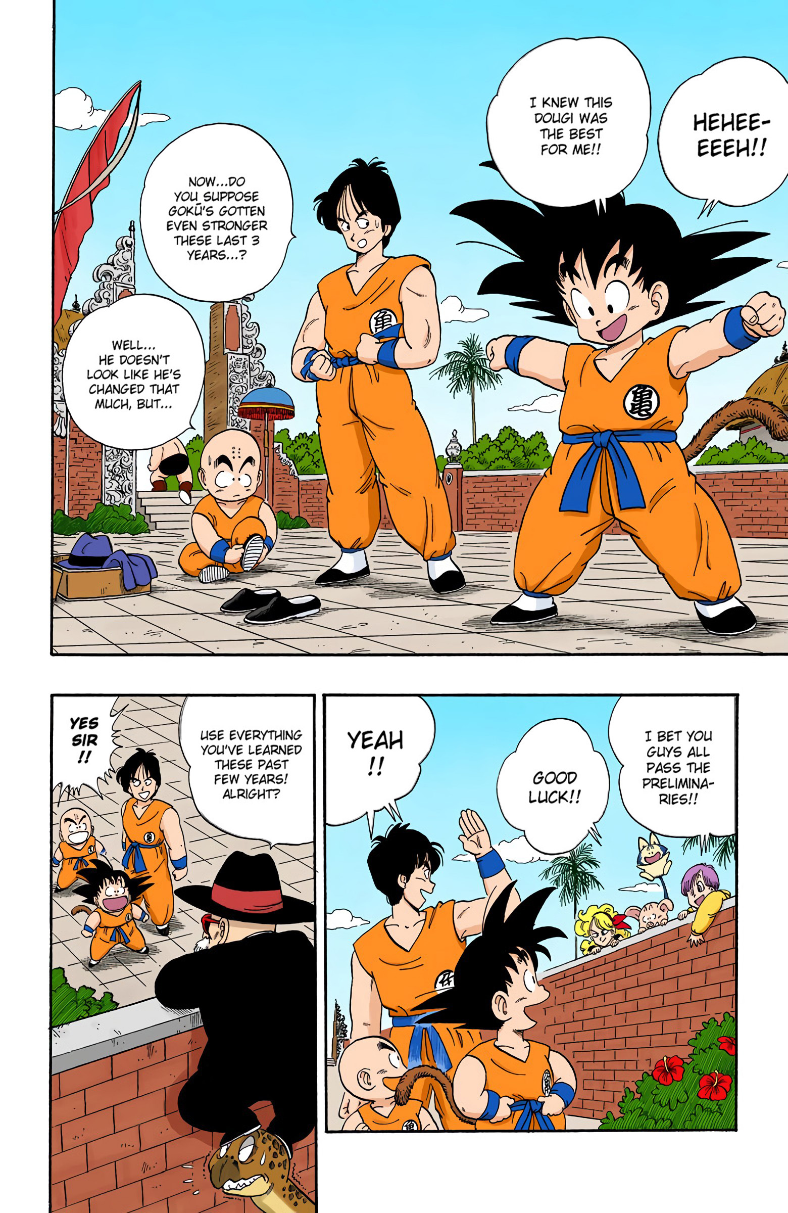 Dragon Ball - Full Color Edition - 113 page 13