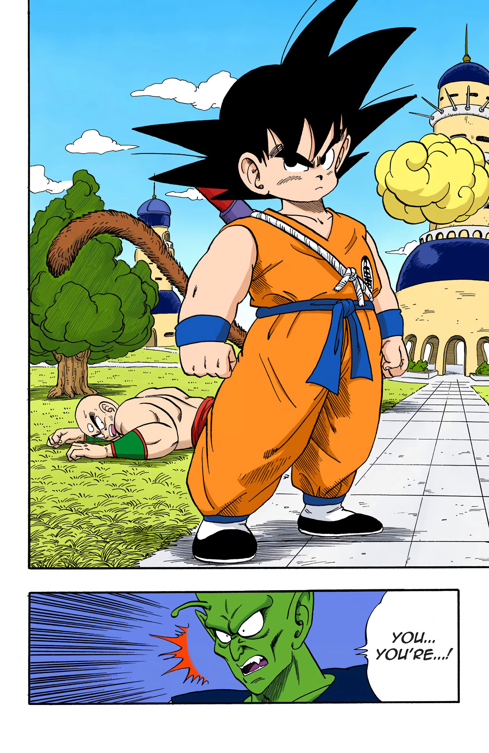 Dragon Ball - Full Color Edition - 154 page 12