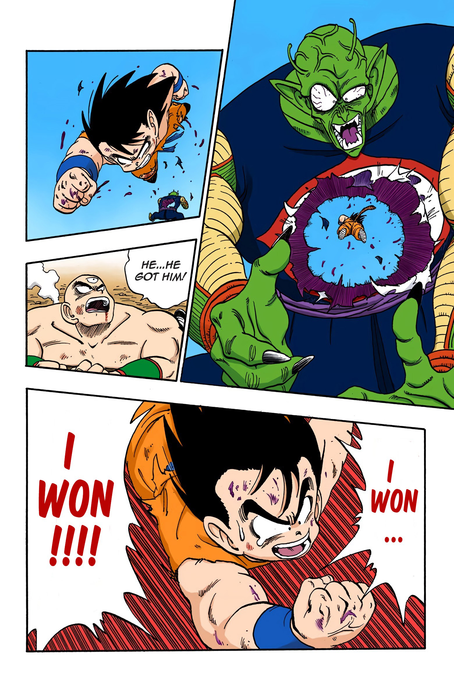 Dragon Ball - Full Color Edition - 161 page 6