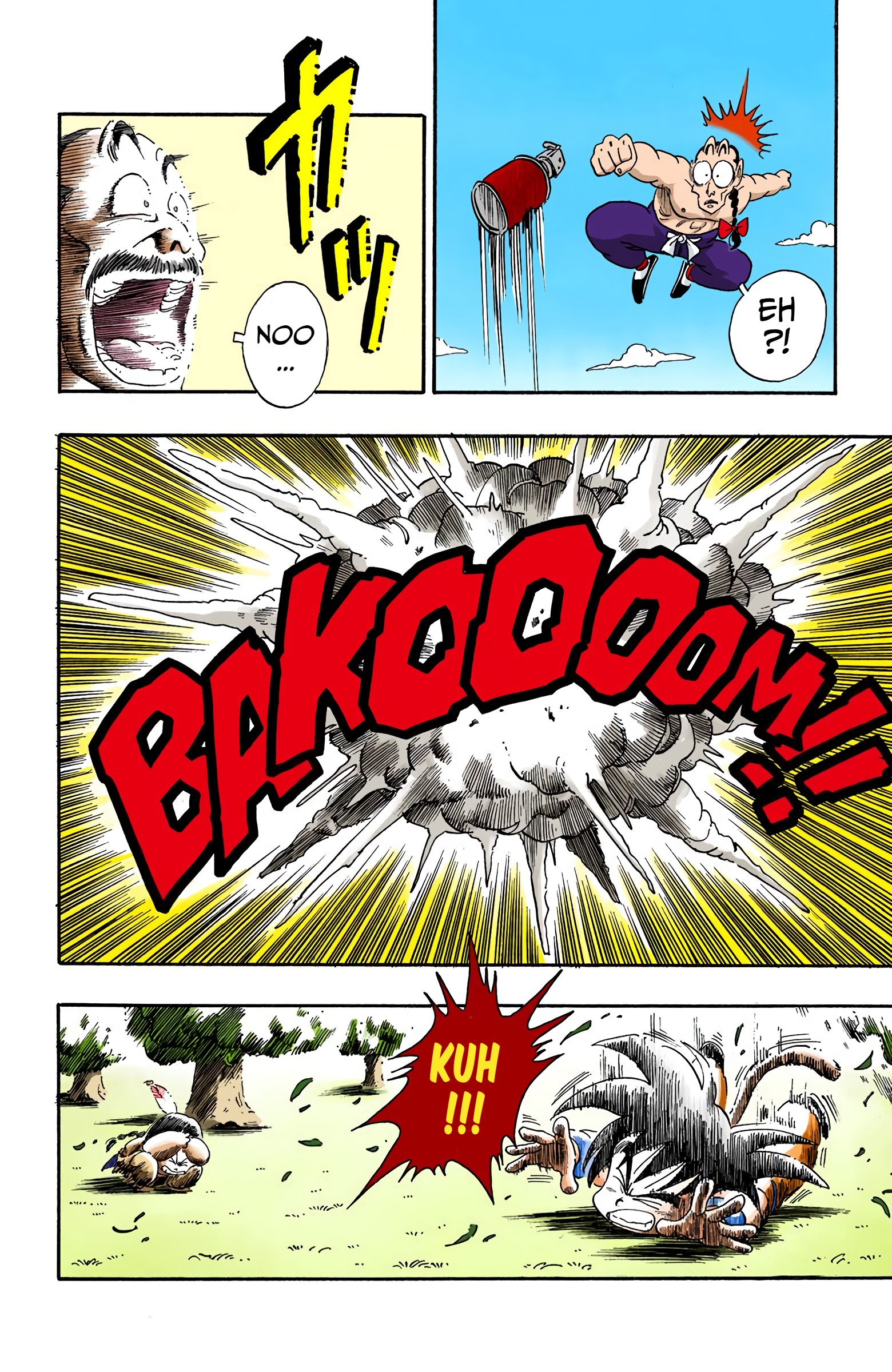Dragon Ball - Full Color Edition - 92 page 14