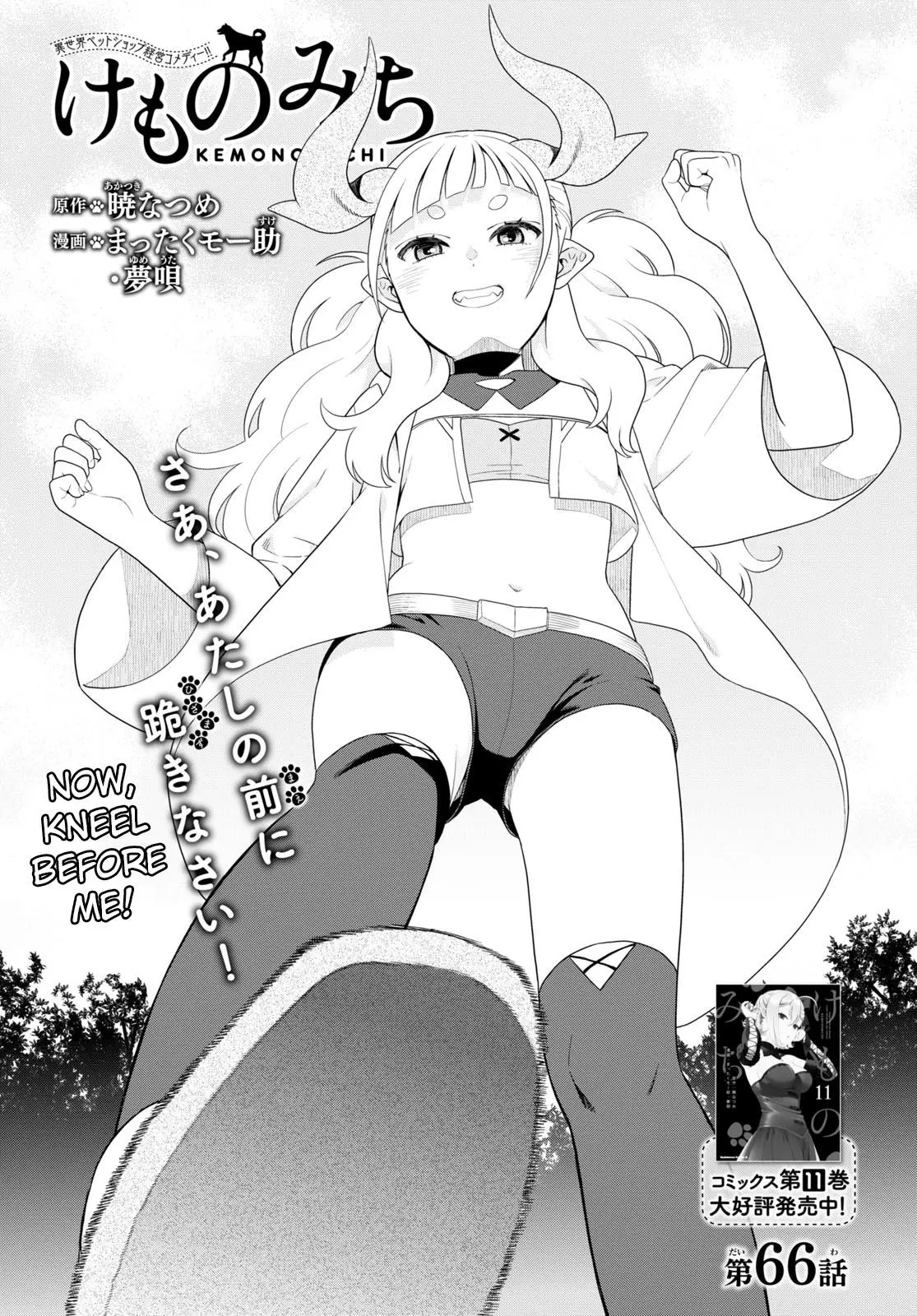 Kemono Michi (Natsume Akatsuki) Manga 