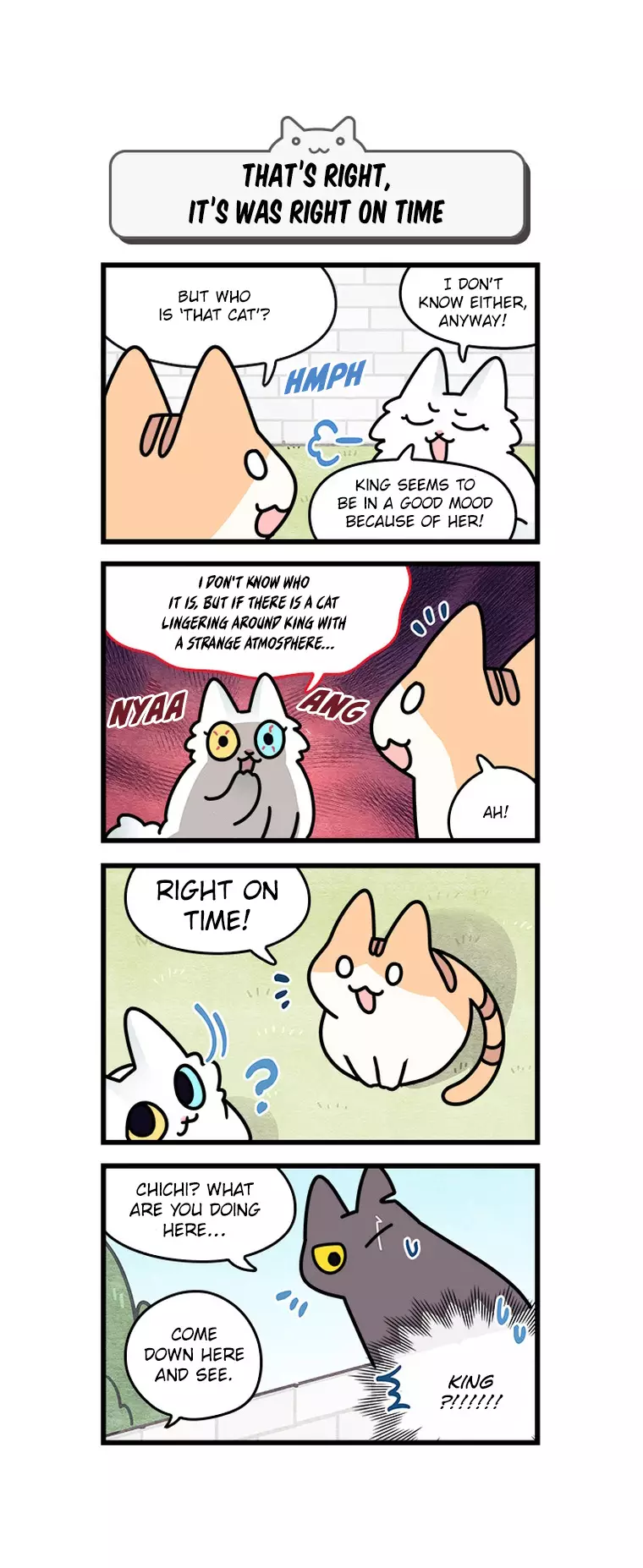 Cats Own The World - 107 page 5-e0f23811